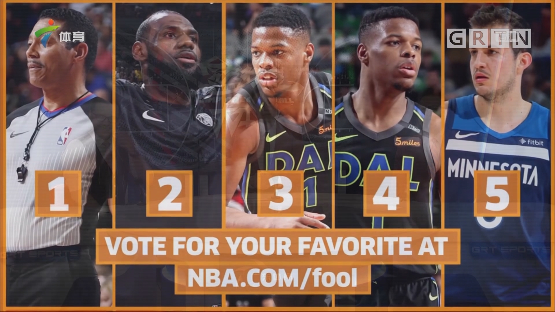 迷蜂拥而至 迷蜂拥而至